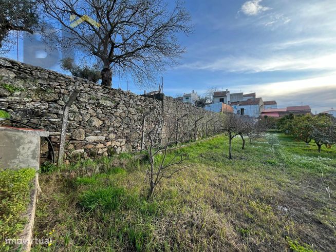 Moradia T2 Venda em Salgueiro do Campo,Castelo Branco-24