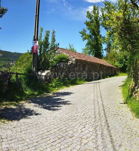 Terreno / Baião, Campelo e Ovil - Grande imagem: 4/6