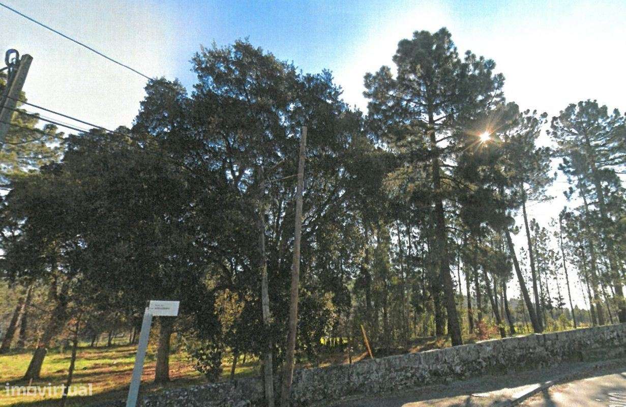 Terreno para construção em Águas Santas - Grande imagem: 3/23