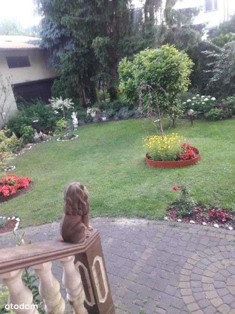 Dom w pobliżu lasu-18