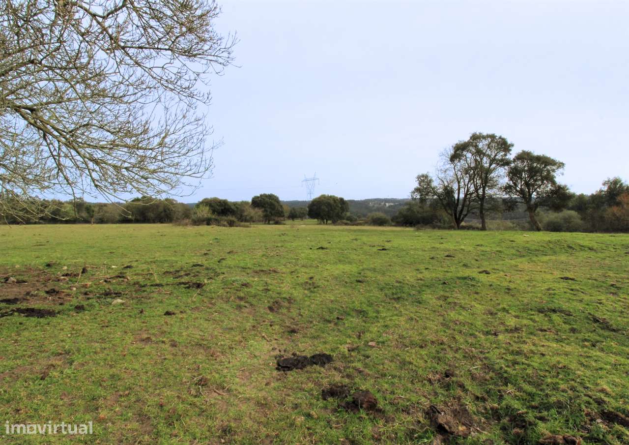 Quinta / Herdade / Terreno / Souto da Carpalhosa - Grande imagem: 4/7