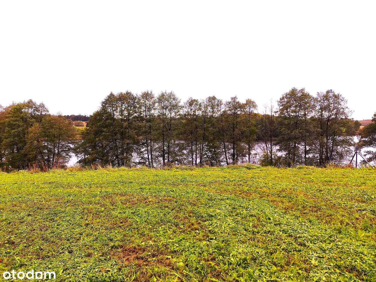 Działka z linią brzegową jeziora (60 m) i pozwoleniem na budowę. - Pełny obrazek: 5/13