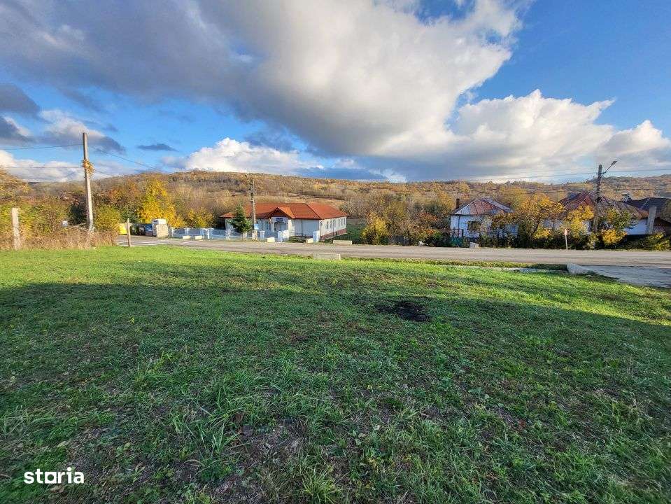 Teren 11.939 mp Balanesti – ideal rezidential/comercial-2