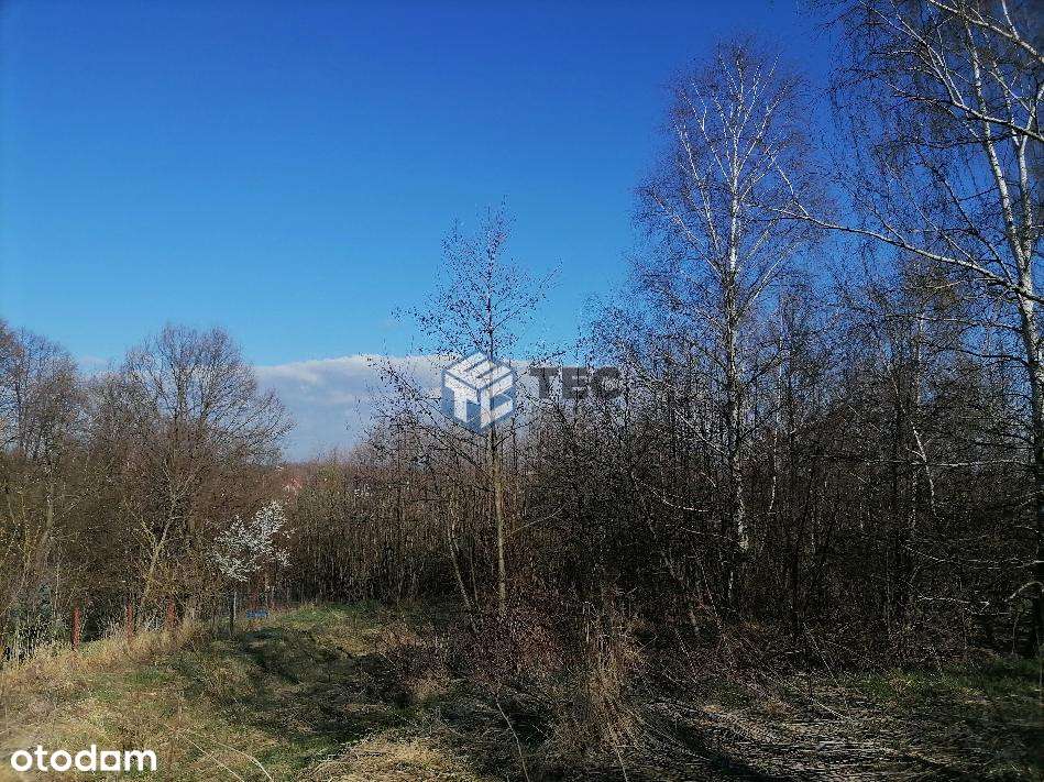 73 ar I Wrząsowice I zielona spokojna okolica - Pełny obrazek: 4/12