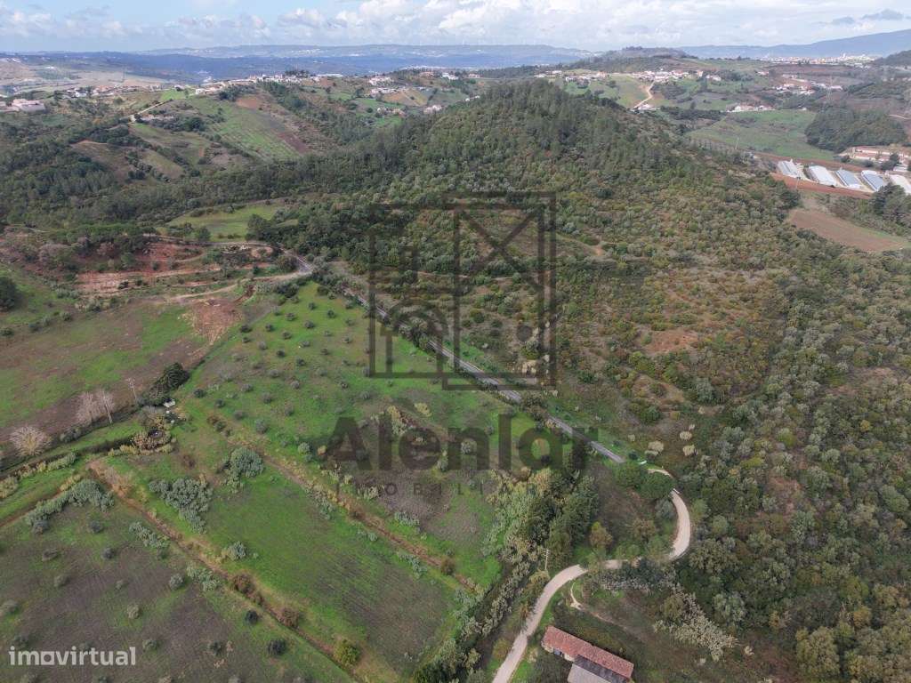 Oportunidade Única de Investimento Agrícola em Alenquer - Grande imagem: 3/27