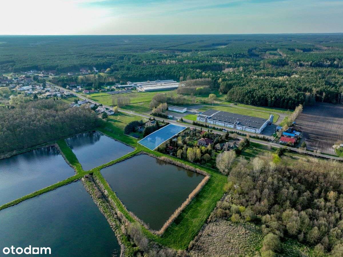 Nietuzinkowa działka w bliskości Puszczy Noteckiej-8