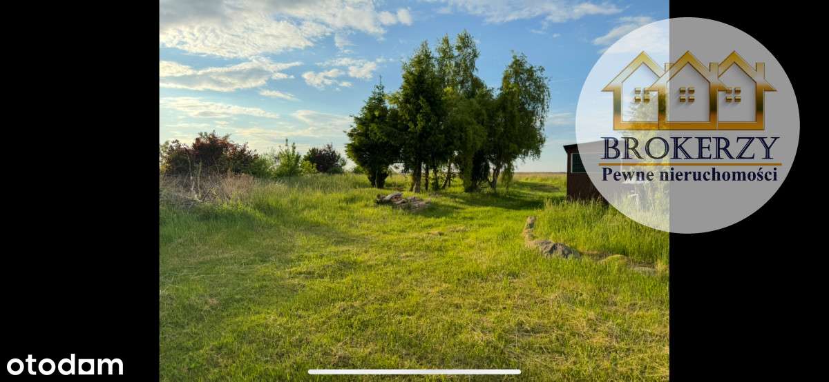 Działka z linią brzegową - Pełny obrazek: 3/3