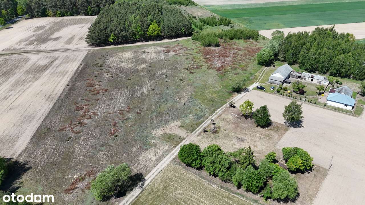 Atrakcyjne działki - Izabelin gm. Brudzeń Duży - Pełny obrazek: 3/4