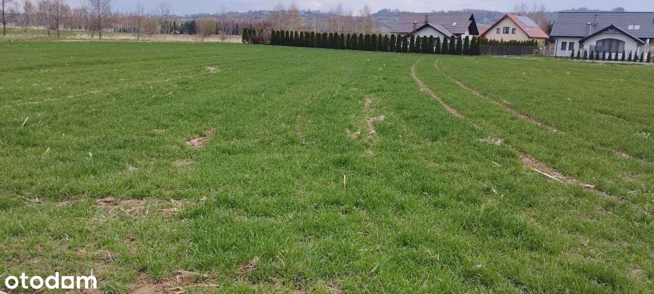 Działka budowlana i inwestycyjna koło Bochni - Pełny obrazek: 4/7