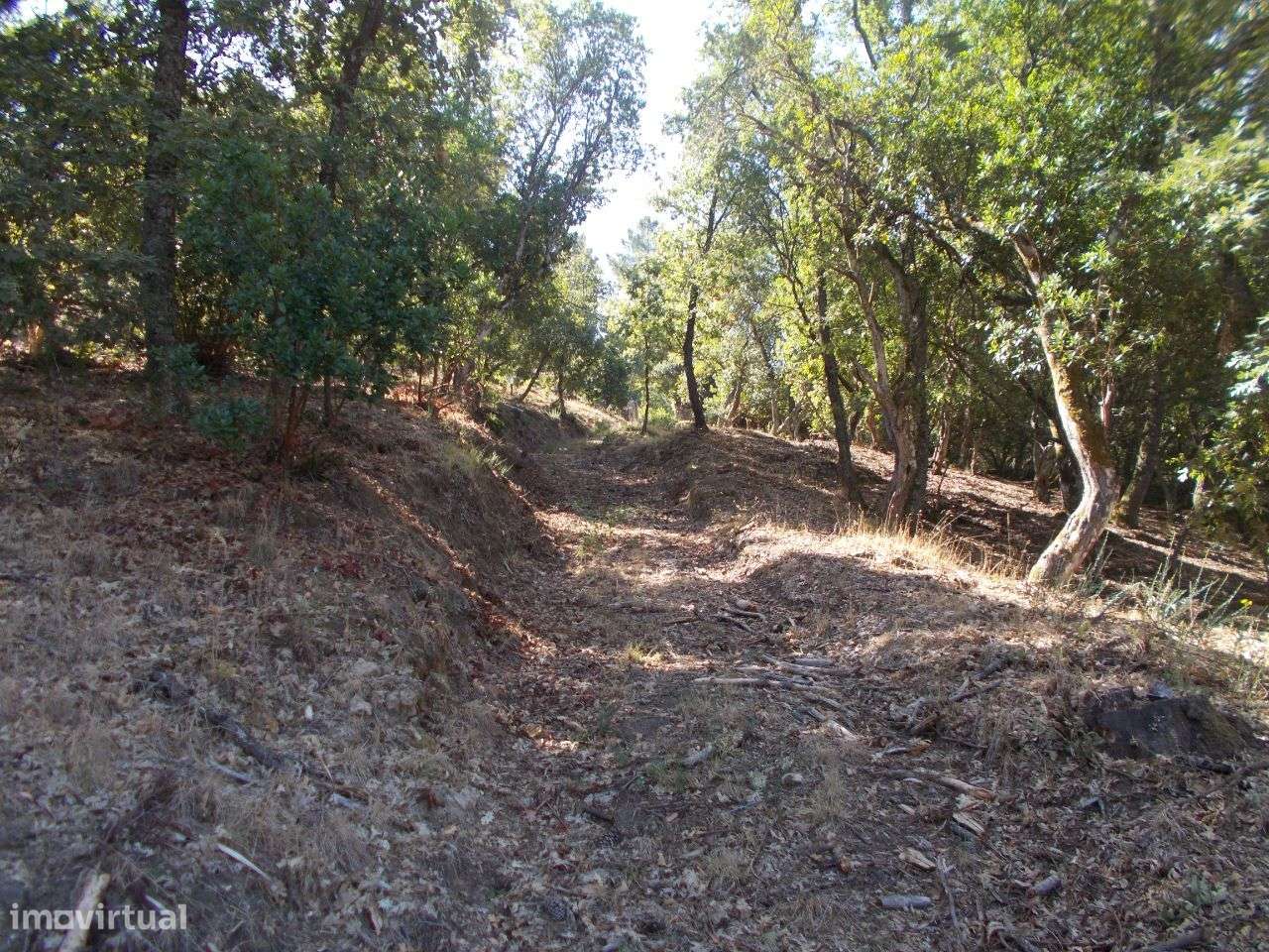 Chaves Quinta Vista Panorâmica-22