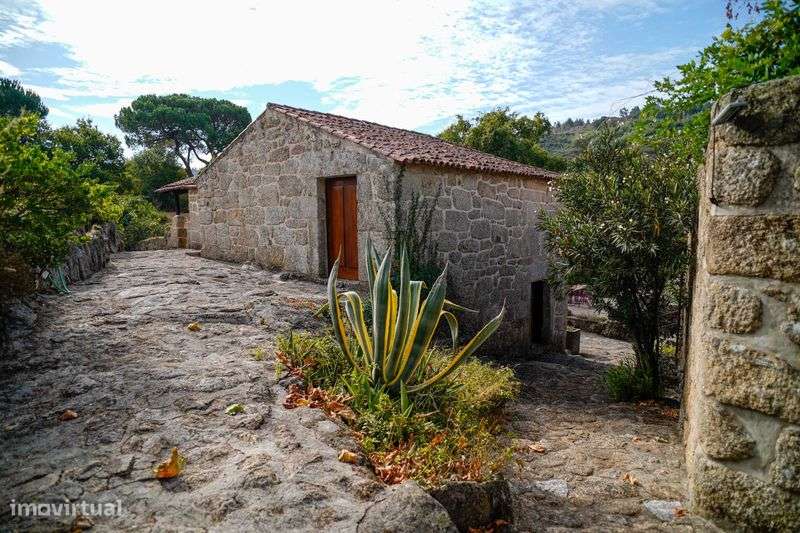 Quinta do Pisão - Ervedal da Beira - Grande imagem: 4/12