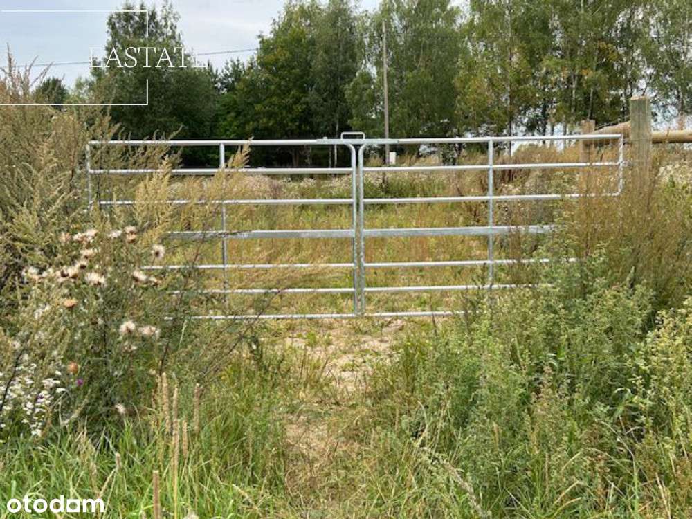 Działka rekreacyjna z projektem domu/blisko plaży - Pełny obrazek: 5/11