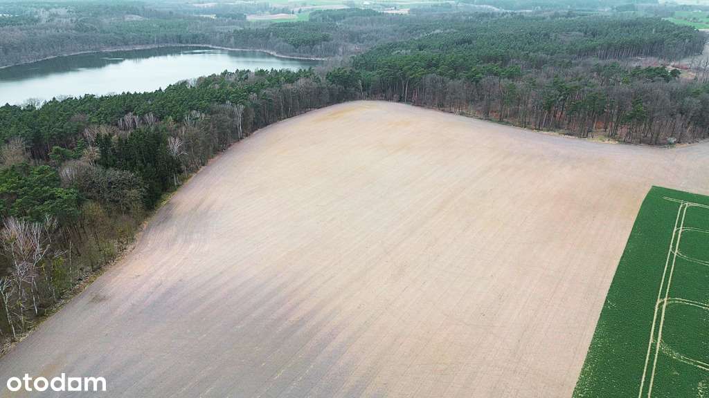 Twoja enklawa wśród lasu i jezior-8