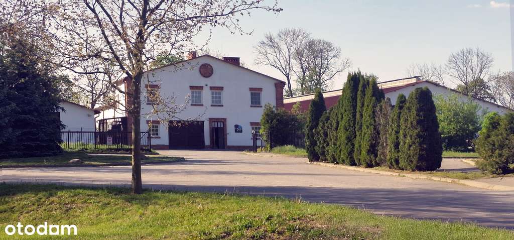 Kompleks hal w dogodnej lokalizacji - Pełny obrazek: 5/11