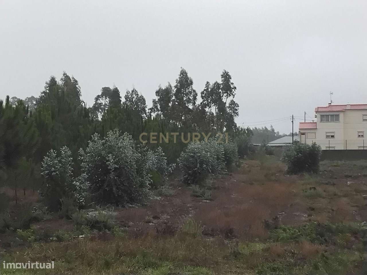Terreno rústico à Venda em Grou, Guia, Pombal - Grande imagem: 4/7