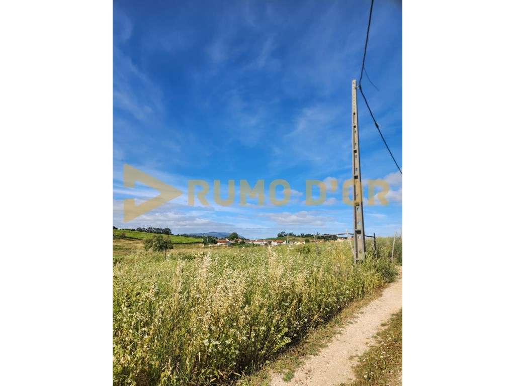 Terreno Rústico com 4.800 m² em Curvel - Torres Vedras-5