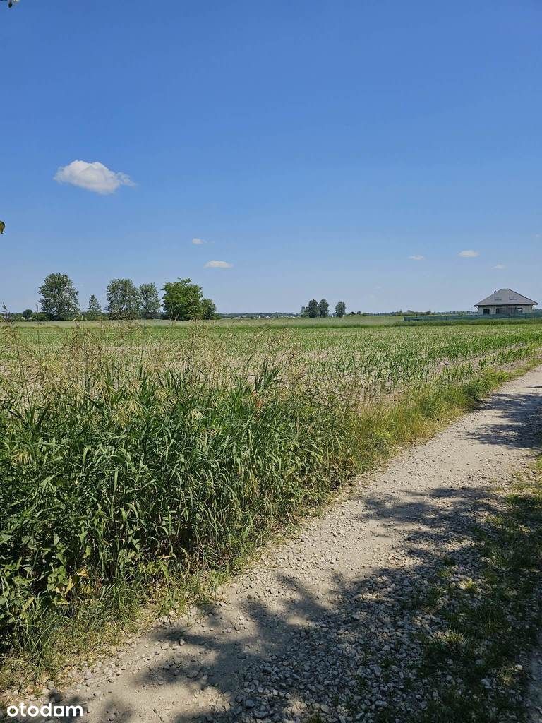 Okazja cenowa! Działki Leszno, ul. Ogrodowa