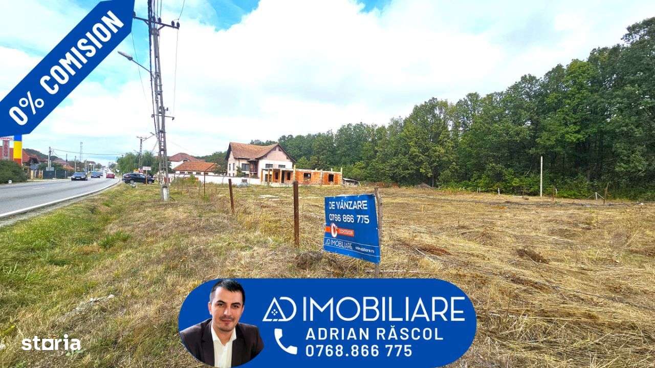 Teren intravilan Dragoeni, deschidere 89 m la DN67 - Imagine principală: 1/9