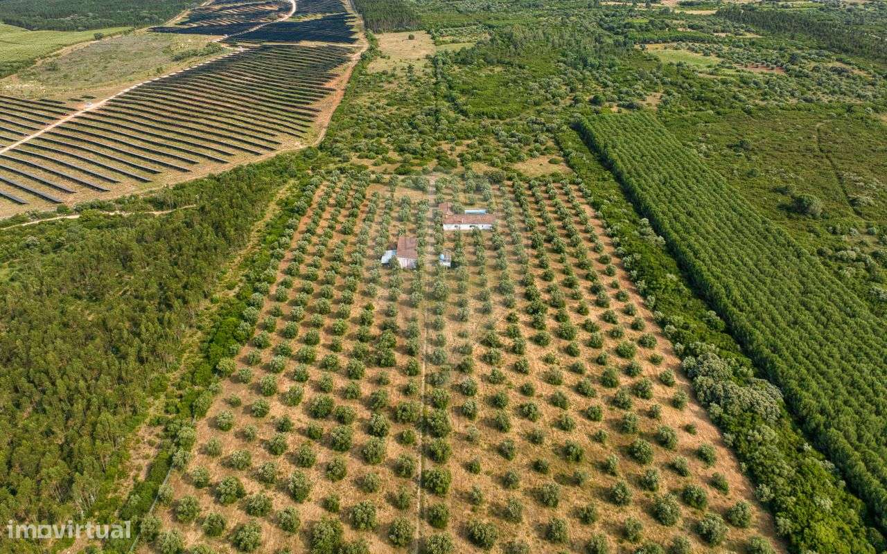 Quinta T4 para venda - Grande imagem: 5/46