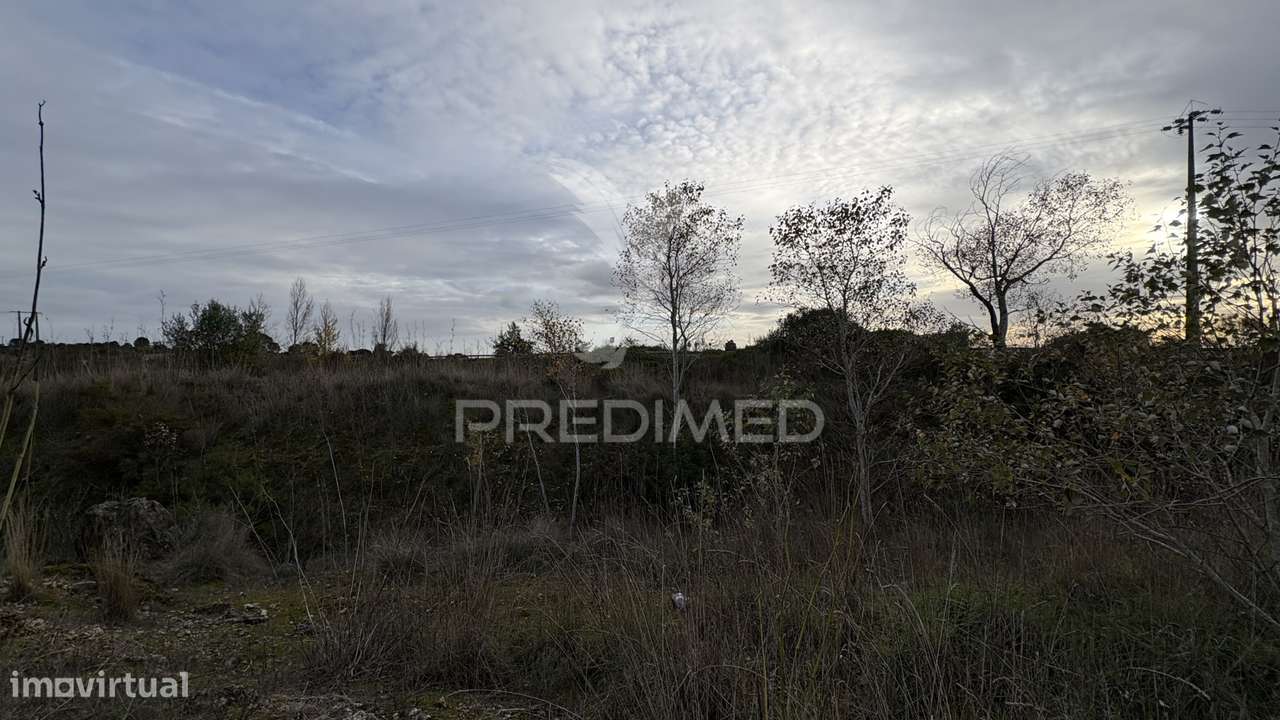 Terreno Empresarial 37.000 m² – A 1 Minuto da A1 e Junto à A23 | Op... - Grande imagem: 2/5