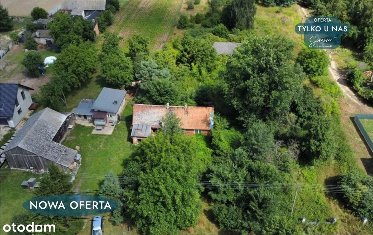 Ale będzie San Francisco.....! - Pełny obrazek: 1/3