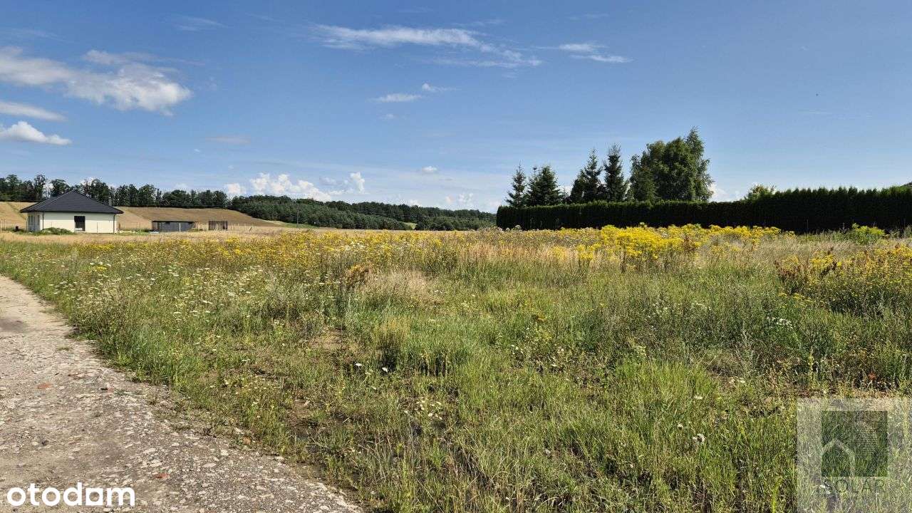 Atrakcyjna działka w Zielonczynie 1498m2 - Pełny obrazek: 5/7