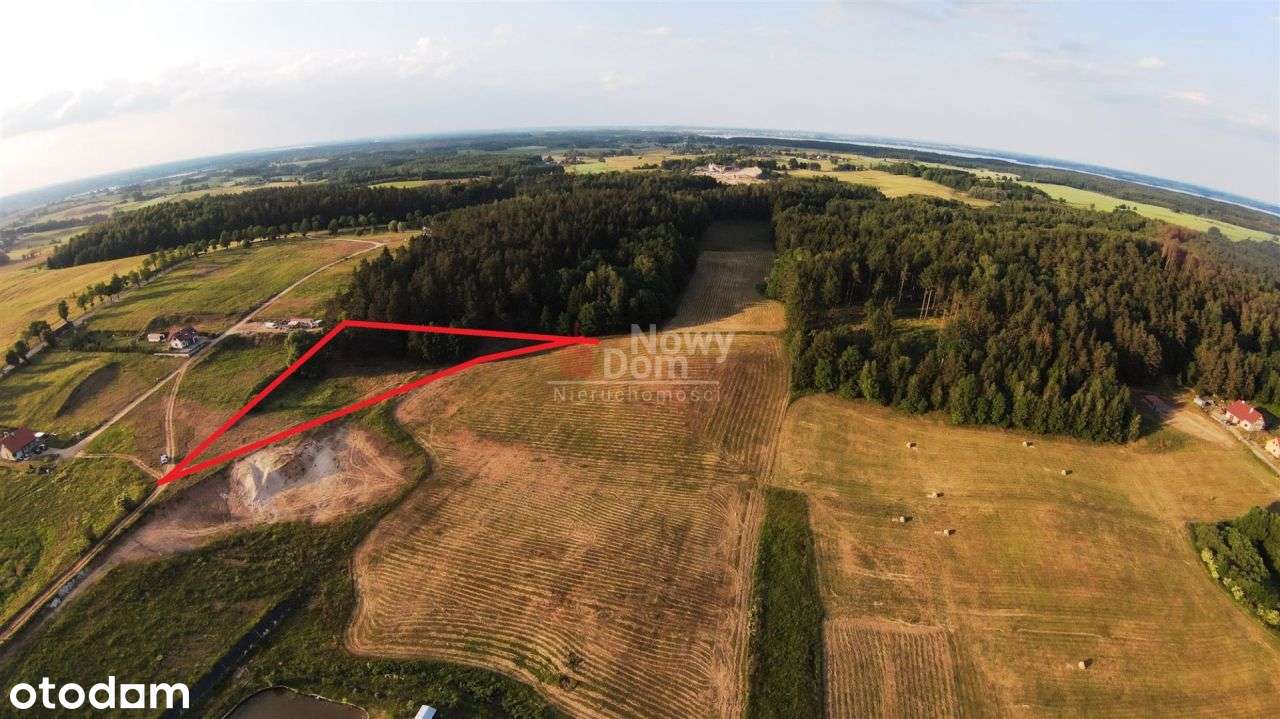 Działka z własnym lasem! - Pełny obrazek: 5/14