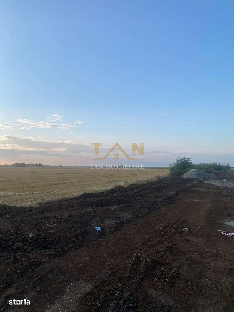 Teren Intravilan Dumbrăvița ,pretabil Duplex - Imagine principală: 3/8