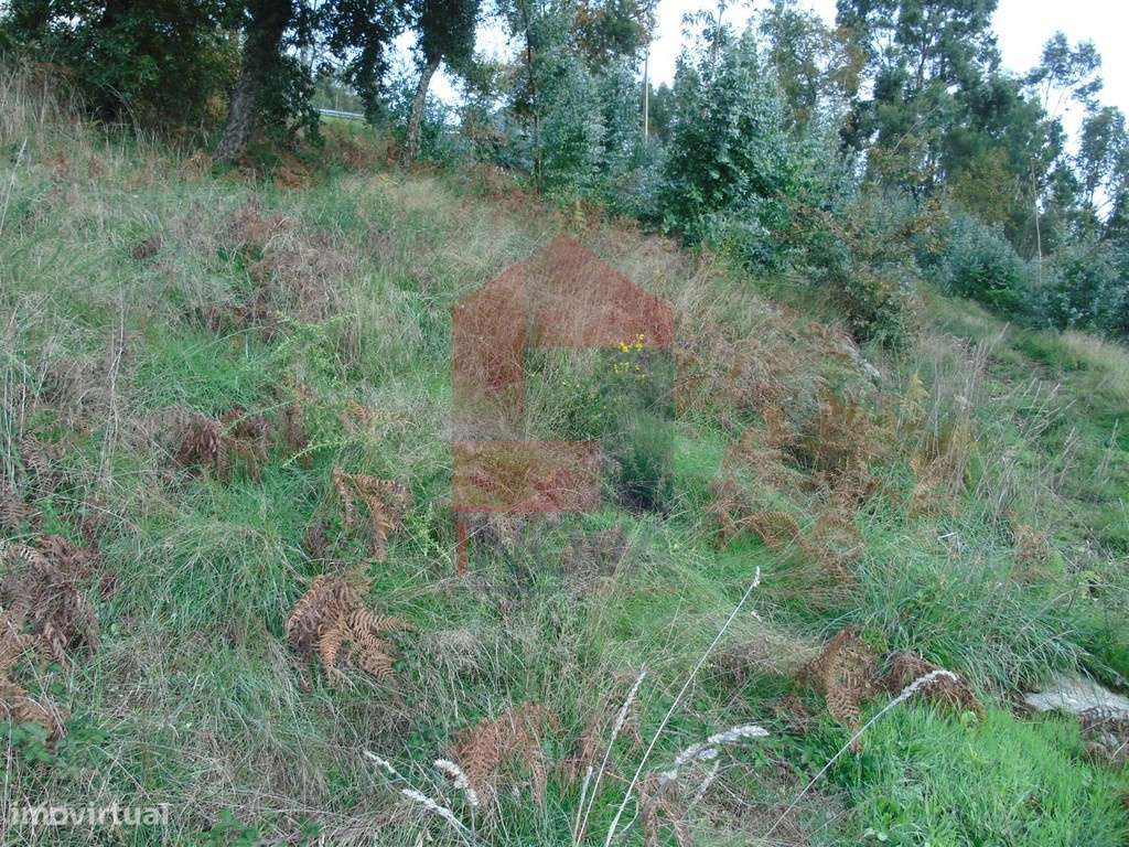 Terreno para construção, Nevogilde - Grande imagem: 4/8