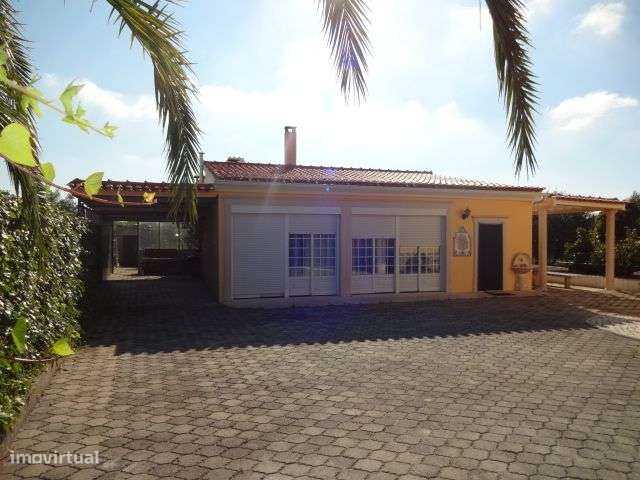 Quinta T/7 Cartaxo-15