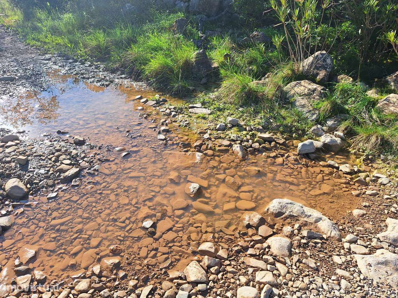 Terreno Rústico no Sítio do Laranjeiro de Santa Catarina da Fonte d...-4