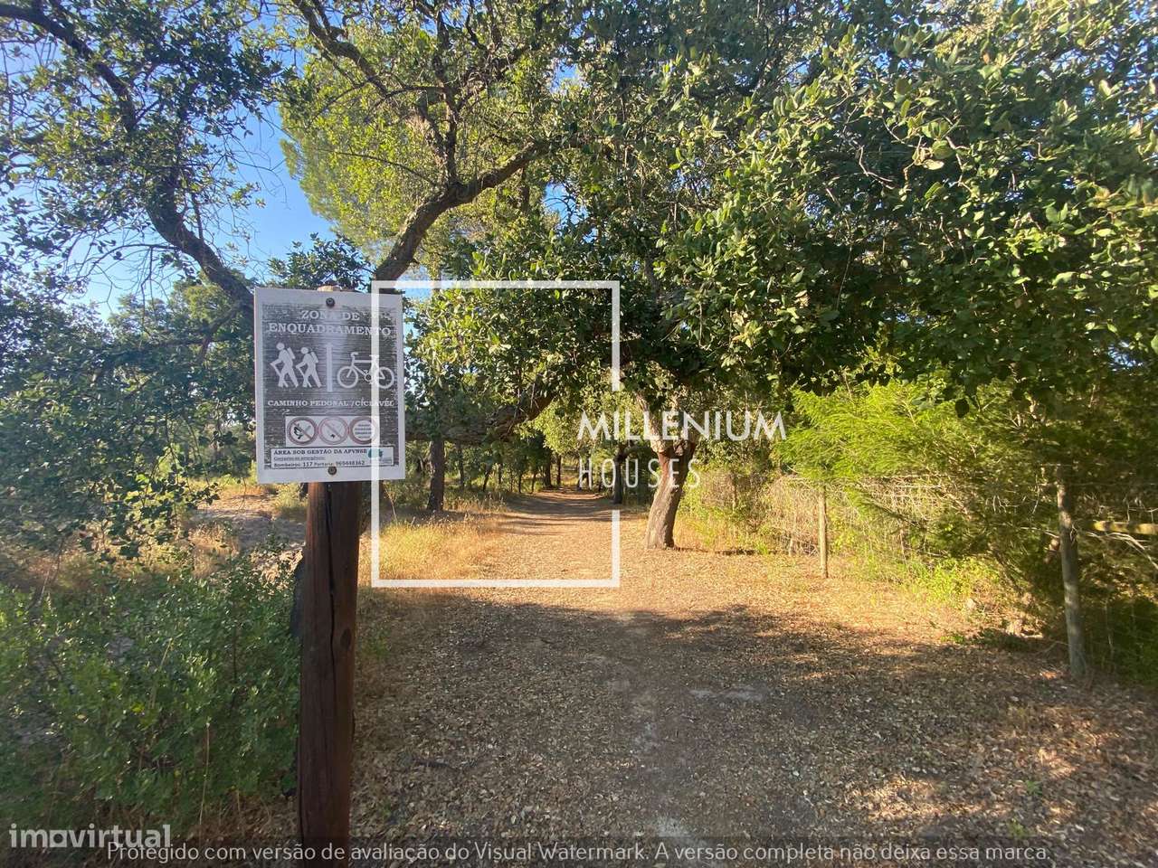 Terreno Urbano | 1. ª LINHA GOLFE | Vila Nova de Santo Estêvão-11