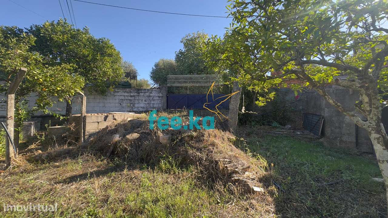 Quintinha T1 em Palvarinho-12