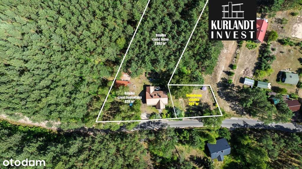 Dom z lasem Kowalskie Błota Bory Tucholskie-4