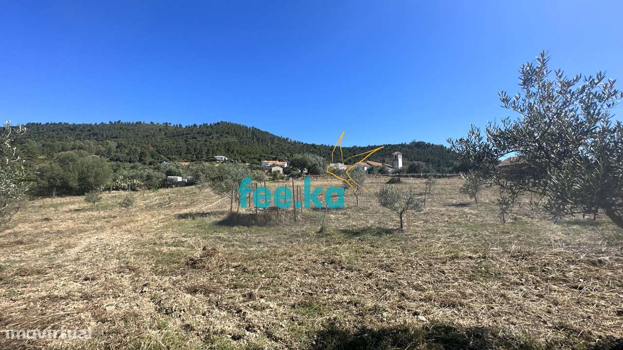 Quintinha em Monfortinho-25