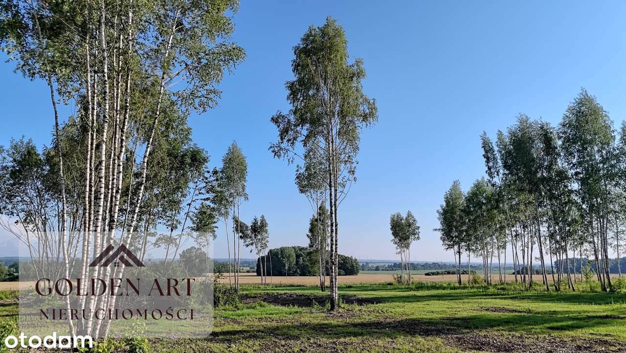 Działka na sprzedaż: Gmina Pasłęk | 5306 m² | WZ | Oczko wodne-12