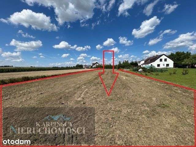 Słoneczna i duża działka budowlano-rekreacyjna. - Pełny obrazek: 5/8