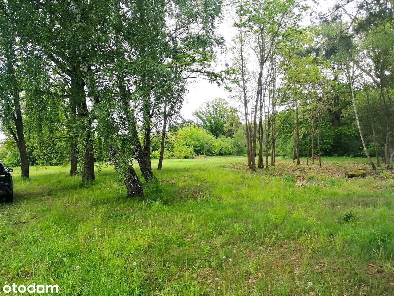 Interesująca działka na sprzedaż. Goworki gm.Rzekuń - Pełny obrazek: 4/5