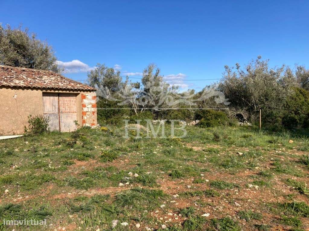 Terreno Rústico com 20701 m2 Próximo à Vila de Mexilhoeira-12