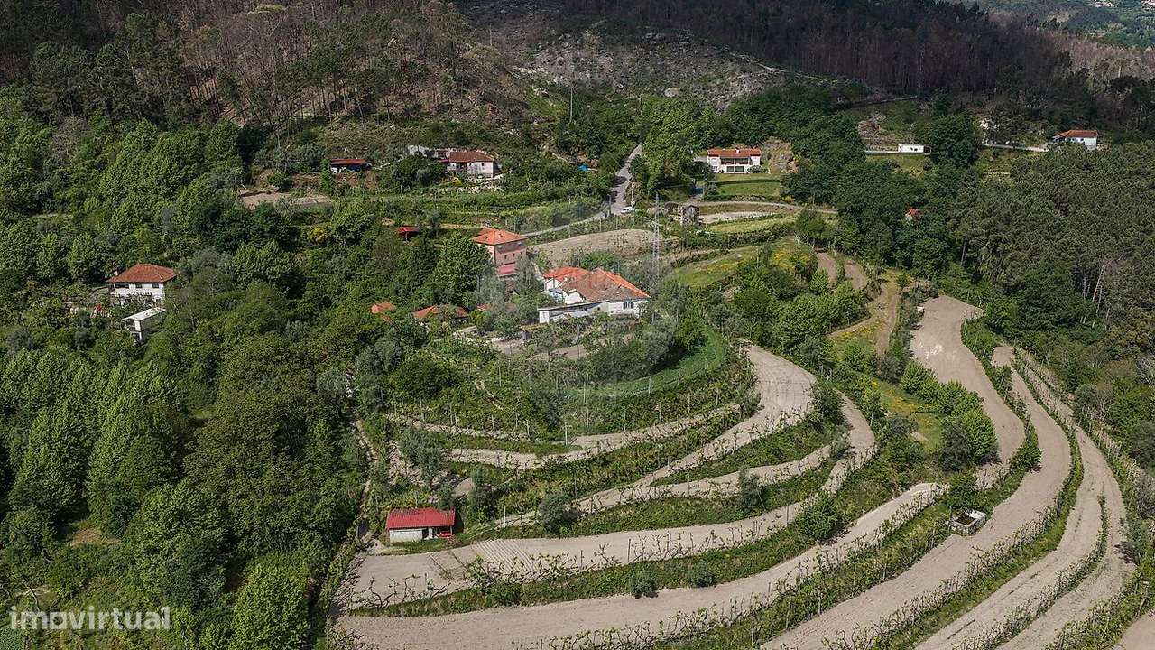 Quinta T4 para venda-39