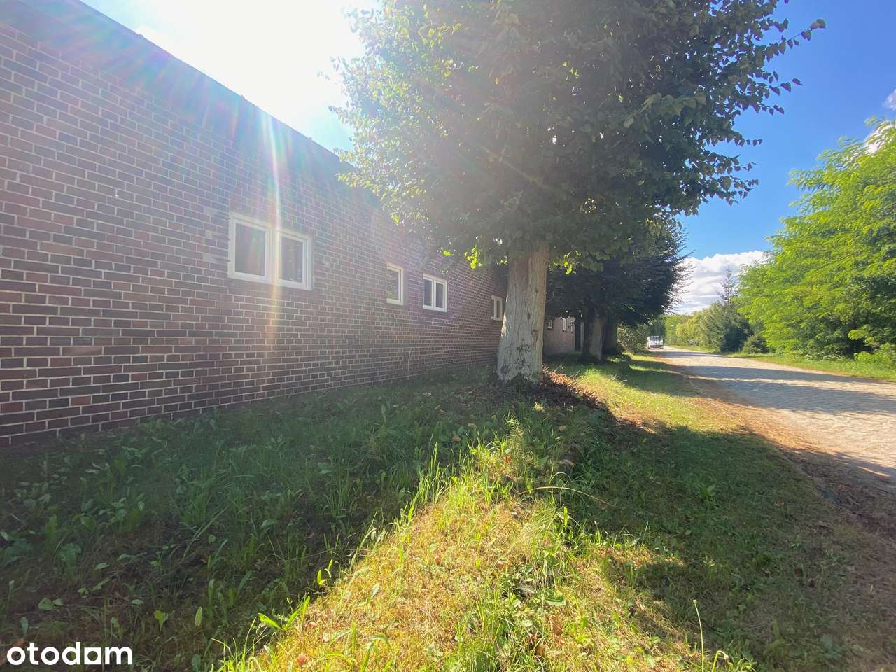 4 niezależne lokale nieopodal lasu i jeziora-19