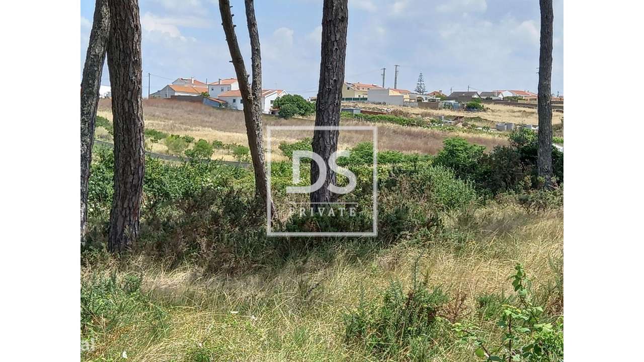 Terreno Rústico em UDF de São João das Lampas e Terrugem - Grande imagem: 5/23