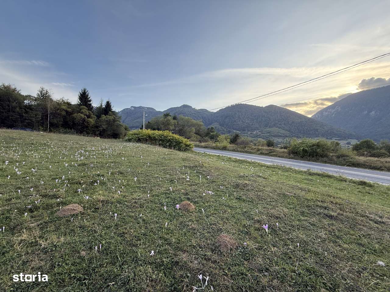 Teren intravilan 500 sau 1000 mp Bran-Tohanita la dum asfaltat-3