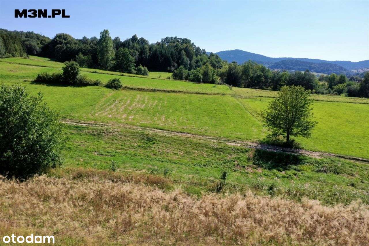 Działka budowlana 25 arów Wiśniowa / Dobczyce - Pełny obrazek: 4/20