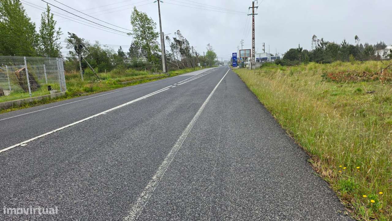 Terreno rústico de 7600m² de área, em Moita Marinha Grande-5