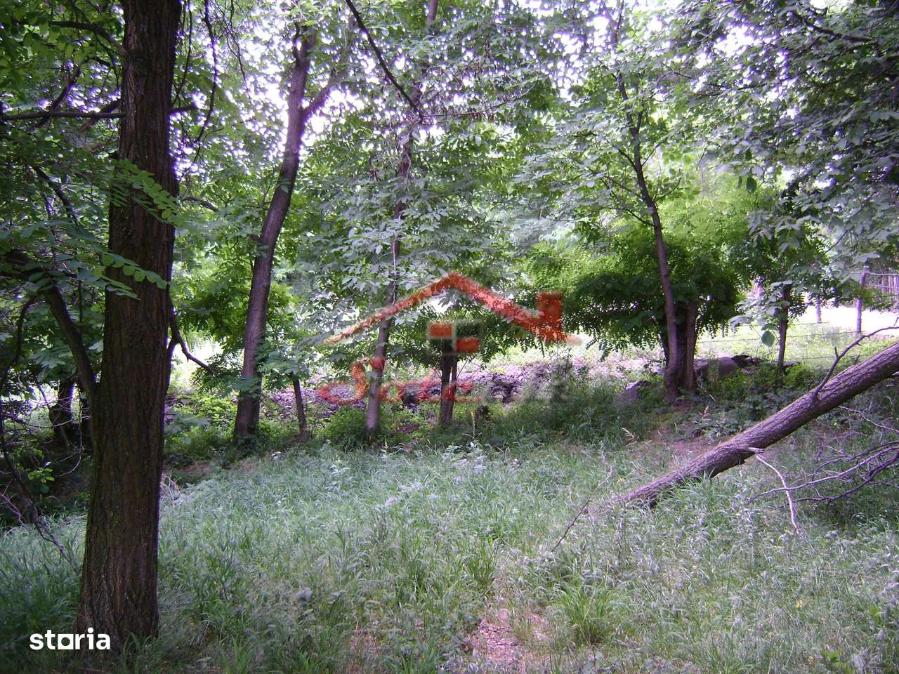 Teren de vanzare Cornu 3074 mp-2