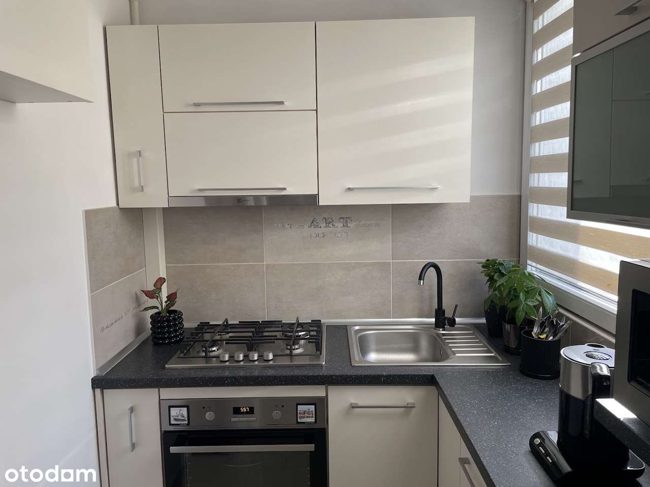 Komfortowe M3 w idealnej lokalizacji - Dąbrowa - Pełny obrazek: 4/11