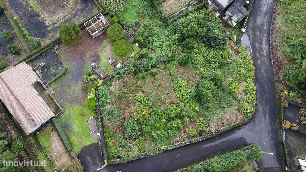 Terreno Lindo no Pico ( Baixa da Ribeirinha) - Grande imagem: 4/16