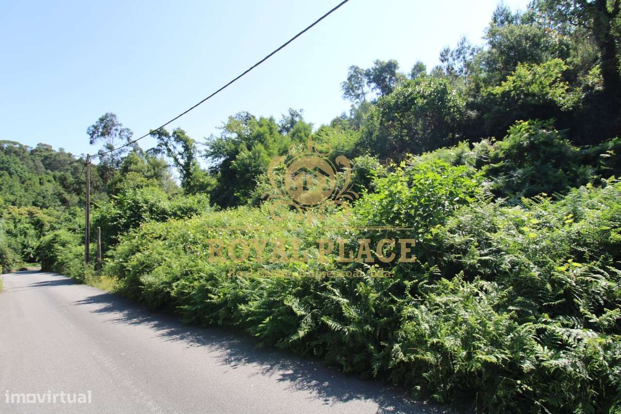 Terreno com 4 700m2 em Avintes - Grande imagem: 4/13