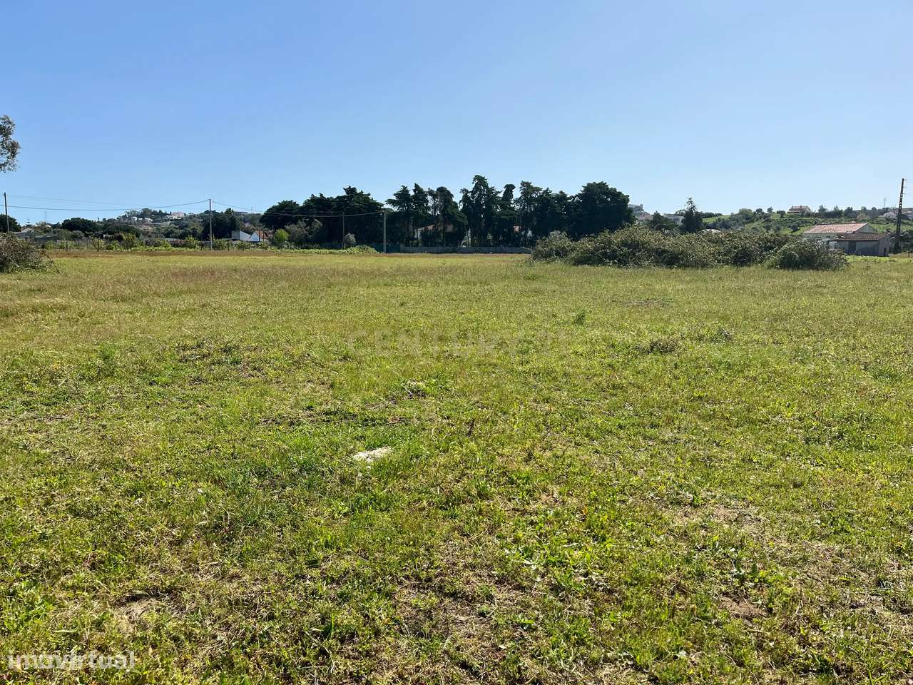 Terreno rustico em Avos em Palmela - Grande imagem: 5/9